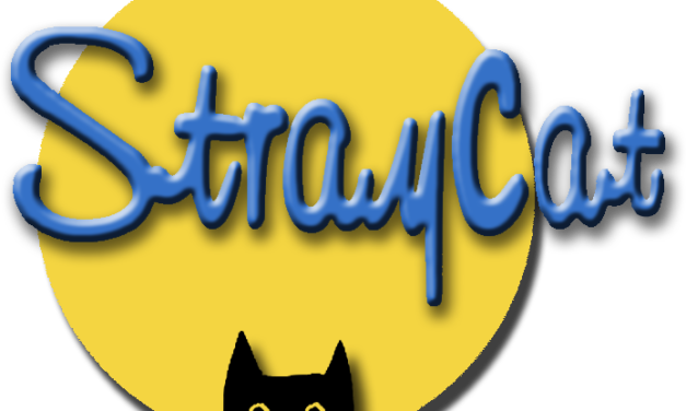 Stray Cat Opens Mon.-Fri. for Lunch