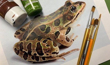 Who Wants to Paint a Leopard Frog