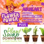 Got Something You Want to Swap:  Plant Swap and More