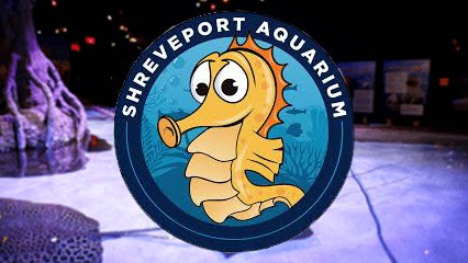 Summer at the Shreveport Aquarium
