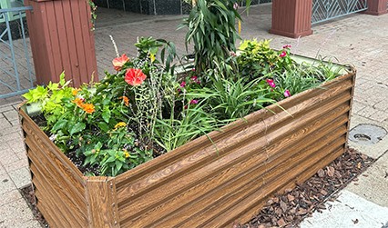 Makeover: New Planters Downtown