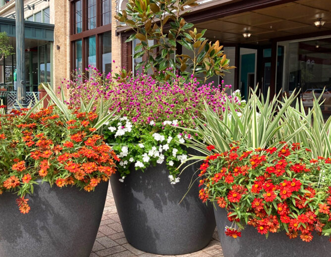 Downtown Planters Entered In A Competition