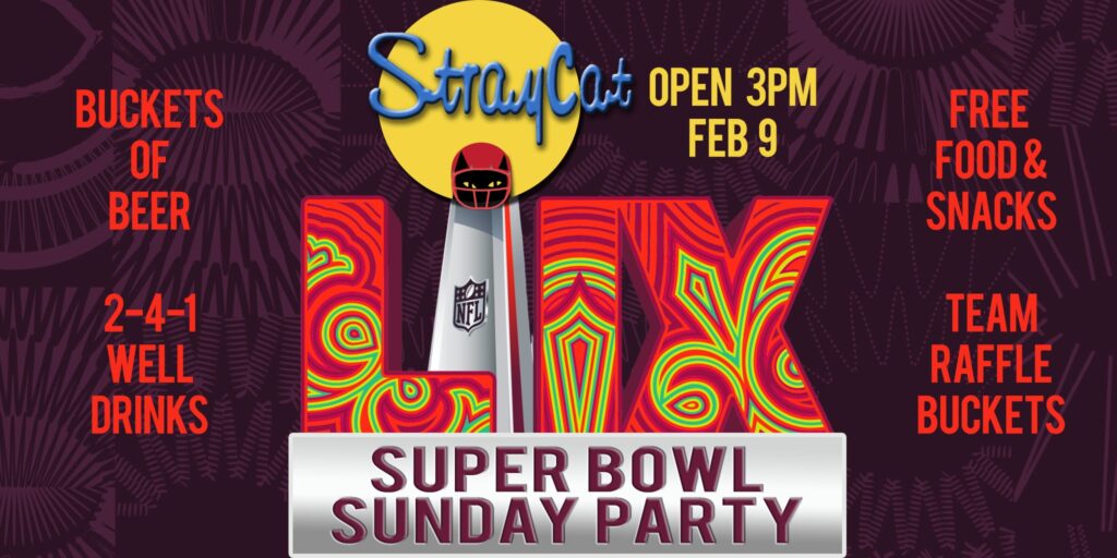 Super Bowl LIX Party